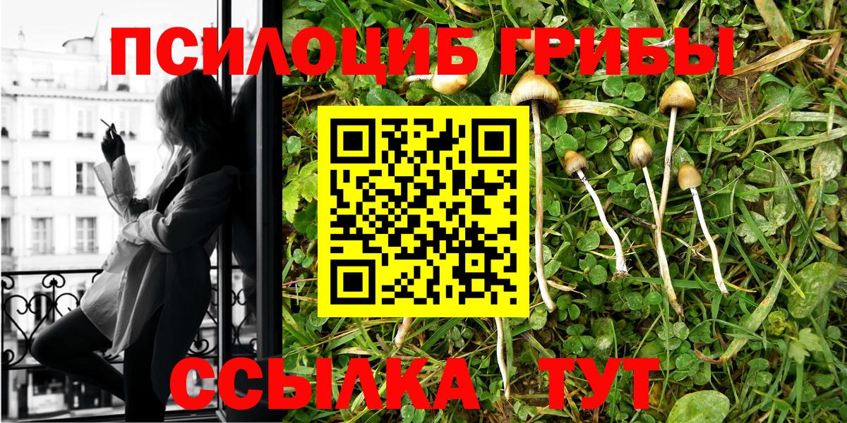Псилоцибиновые грибы мухоморы  Вход с VPN  Мичуринск 